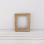 Schilderijlijst goud