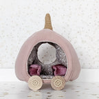 Skattich pumpkincarriage pattern and instructions English (pdf)