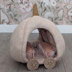 Pompoenkoets Pumpkincarriage