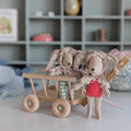 Bunny kleding setje bruin (past baby en kleine zus Muis)