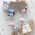 Little, Mini and Baby Squirrel with clothes
