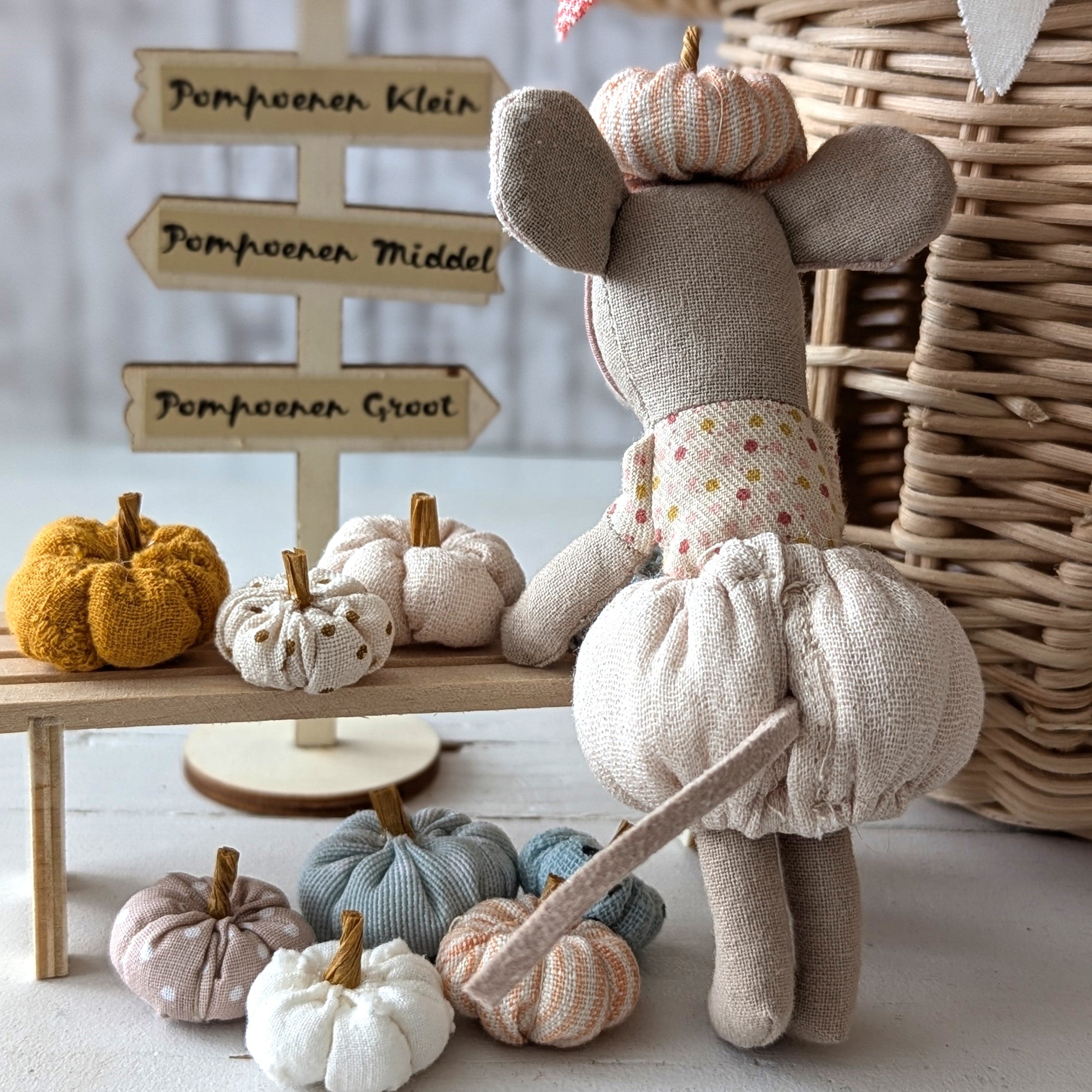 Wegwijsbord op pootje