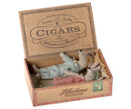 Maileg Mum and dad mice in cigarbox