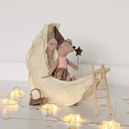 Kaas maan / cheese moon