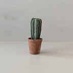 Maileg cactus plant