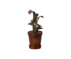 Maileg plant