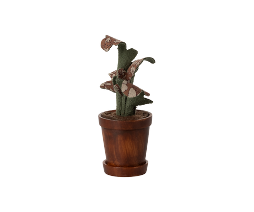 Maileg plant