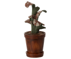 Maileg plant 1