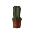 Maileg plant cactus