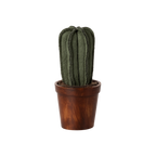 Maileg plant cactus