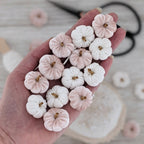 Pompoen lichtroze of off white (limited edition)