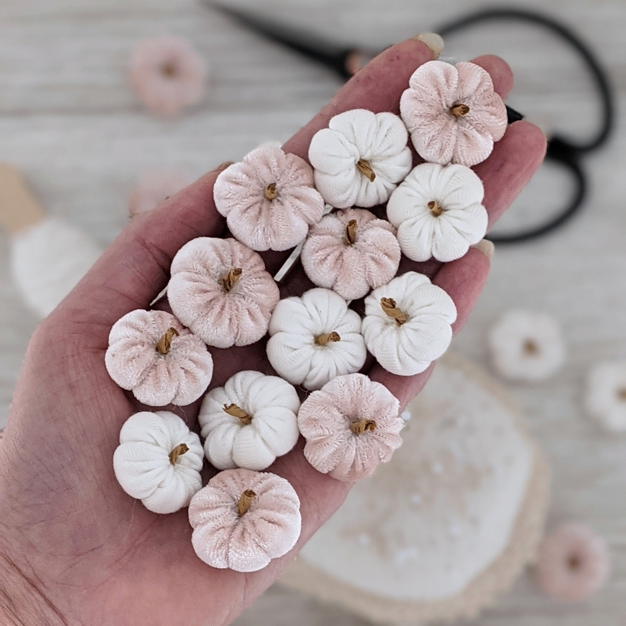 Pompoen lichtroze of off white (limited edition)