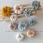 Mini pompoenen set (pre-order t/m 23 september )