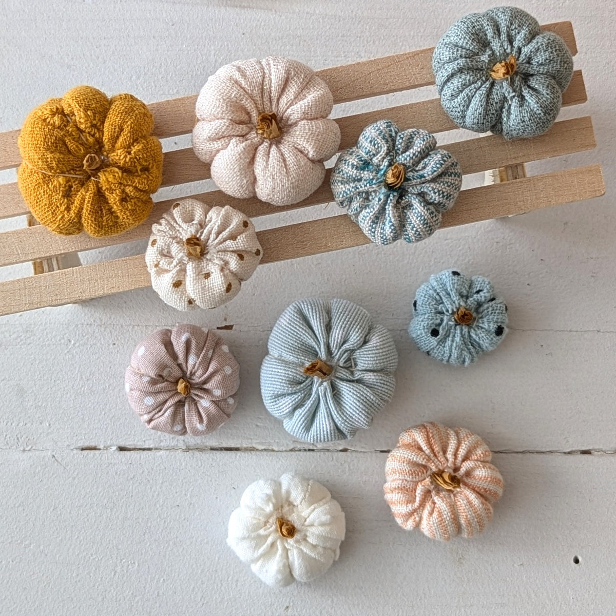 Mini pompoenen set (pre-order t/m 23 september )