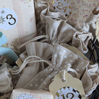 Skattich Adventskalender vol Maileg Muizenpret (pre-order)