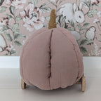 Pompoen koets vintage pink / pumpkin carriage handgemaakt