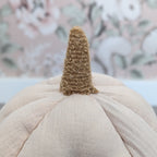 Pompoenkoets Pumpkincarriage