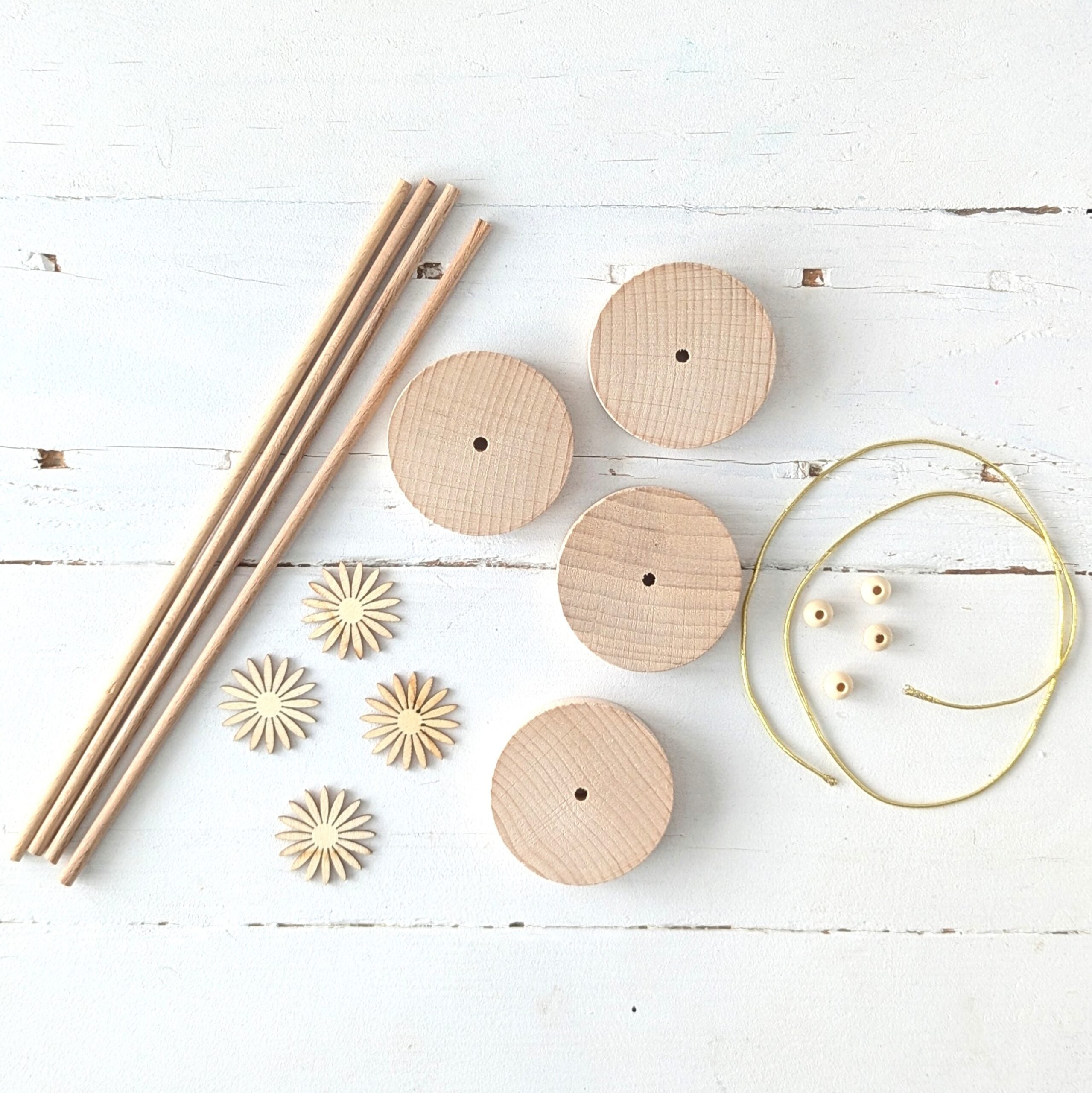 Set onderstel pompoenkoets aster diy