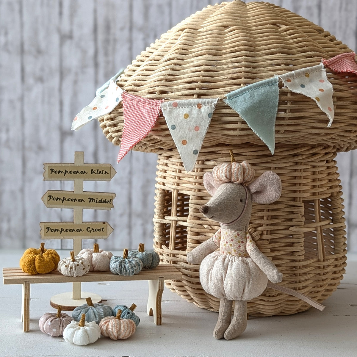 Mini pompoenen set (pre-order t/m 23 september )