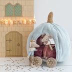 Set onderstel pompoenkoets aster open diy