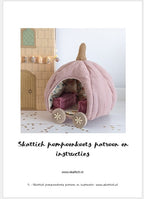 Skattich pompoenkoets patroon en instructie Nederlands (pdf)