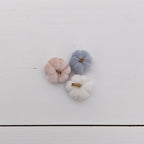 Set pompoenen (meerdere kleuren) (kopie)