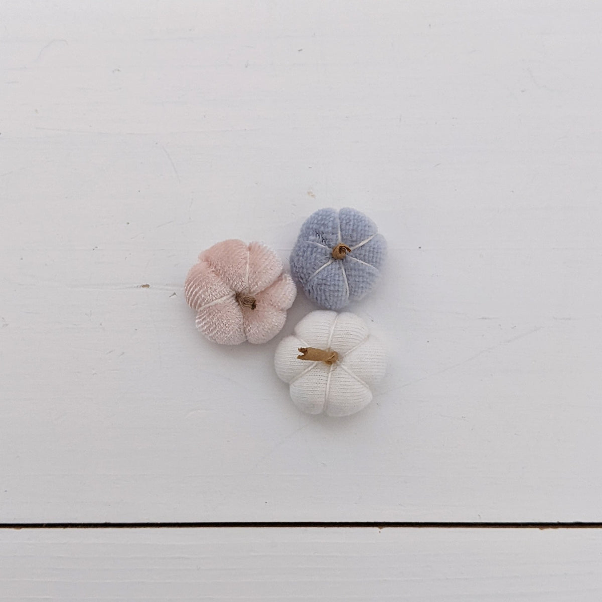 Set pompoenen (meerdere kleuren) (kopie)