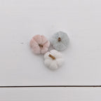 Set pompoenen (meerdere kleuren) (kopie)