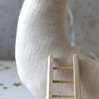 Maan 'Tot aan de maan en terug...' met Maileg tandenfee (set)