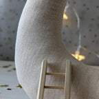 Maan 'Tot aan de maan en terug...' met Maileg tandenfee (set)