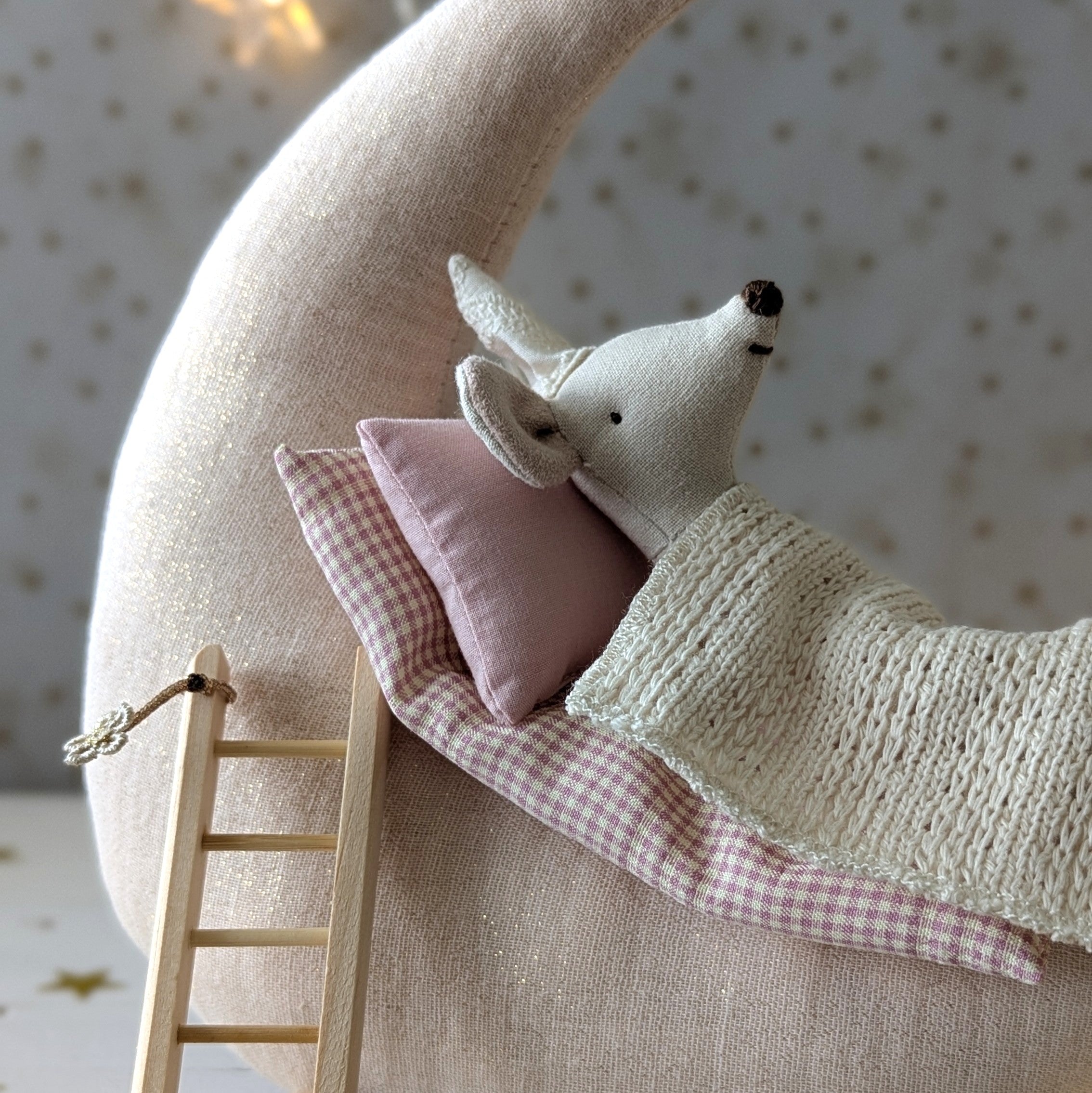 Maan 'Tot aan de maan en terug...' met Maileg tandenfee (set)