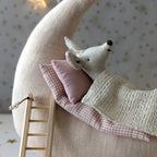 Maan 'Tot aan de maan en terug...' met Maileg tandenfee (set) voor Wendy