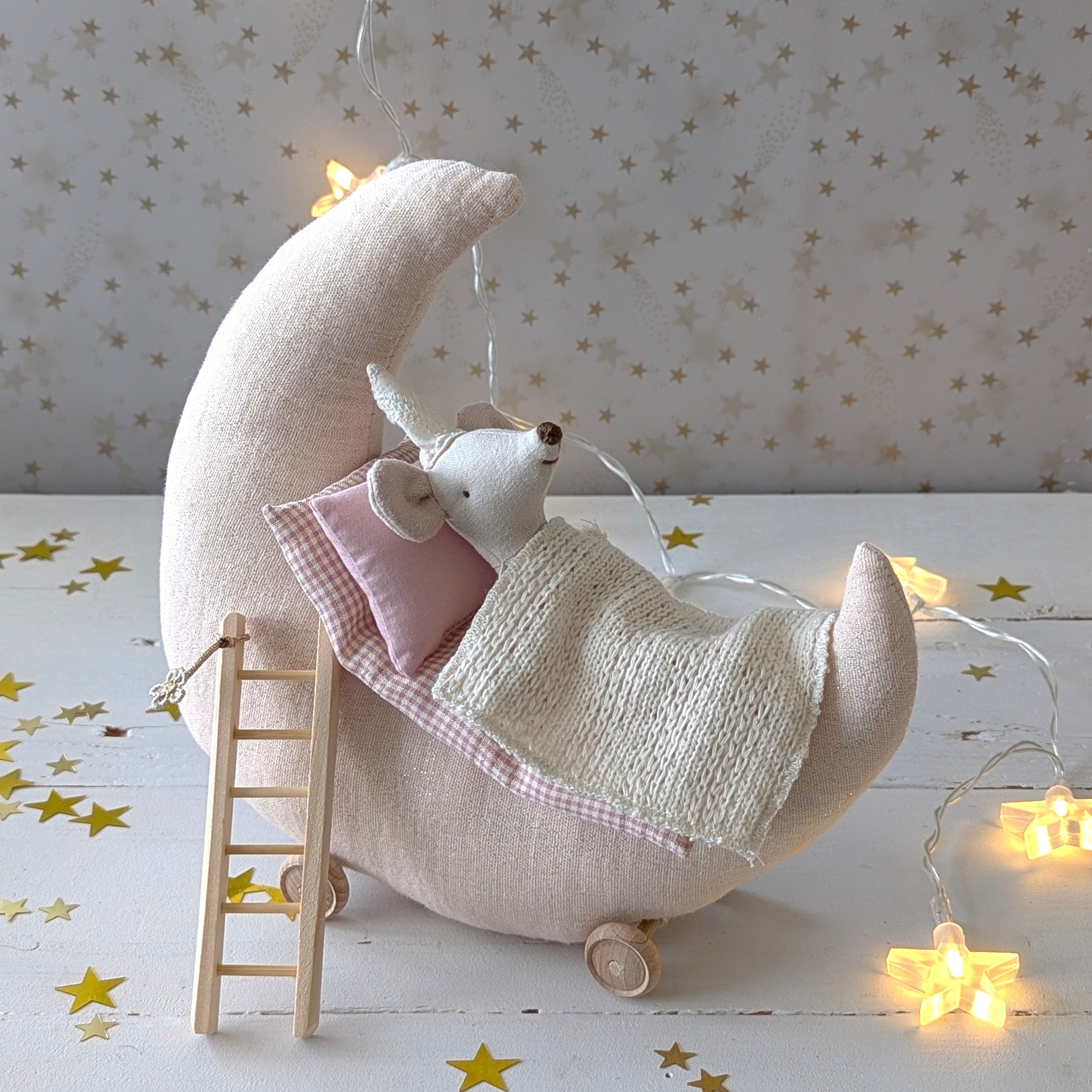 Maan 'Tot aan de maan en terug...' met Maileg tandenfee (set) voor Wendy