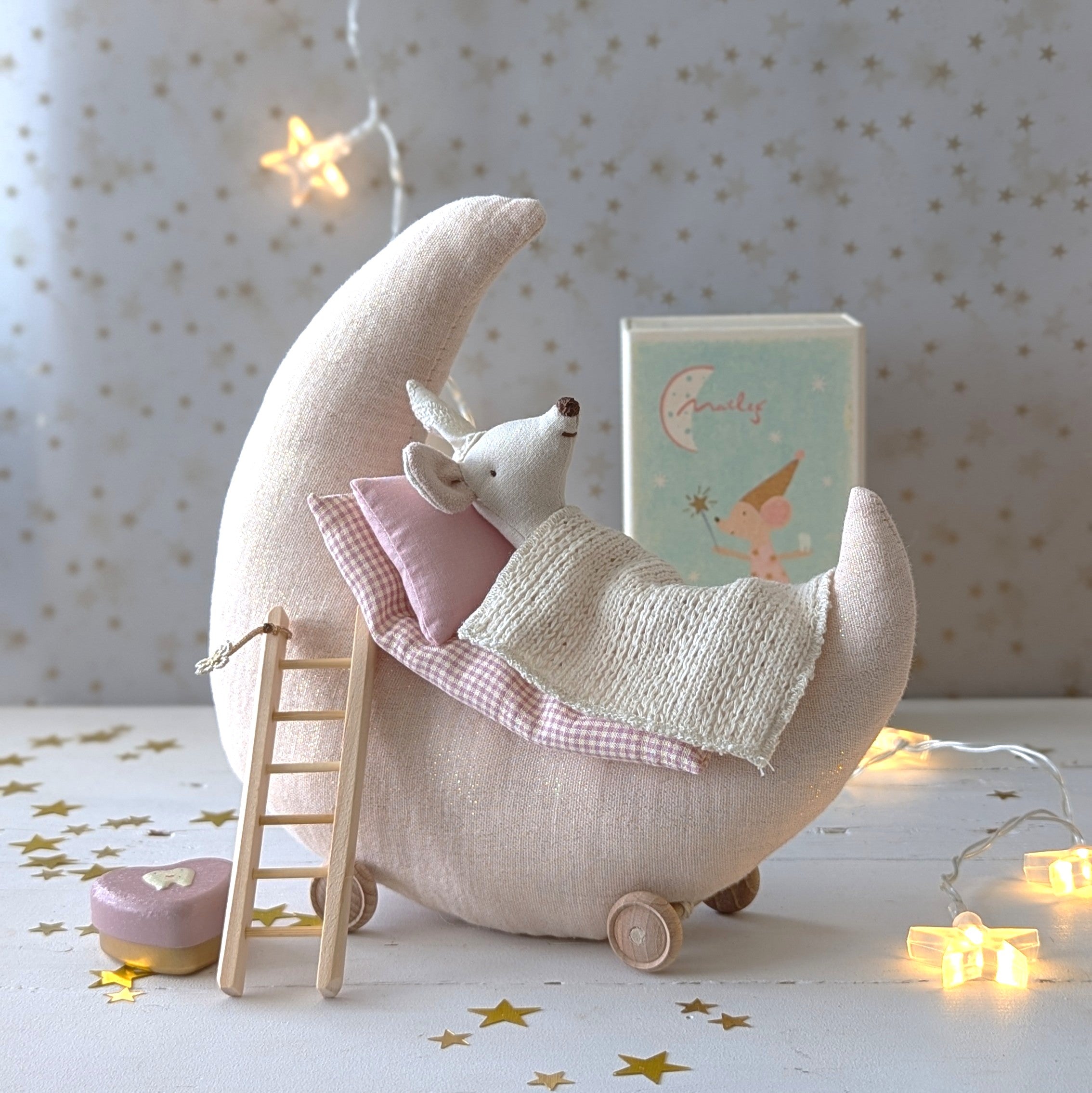 Maan 'Tot aan de maan en terug...' met Maileg tandenfee (set)