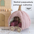 Set onderstel pompoenkoets aster diy