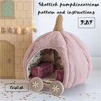 Set onderstel pompoenkoets aster diy