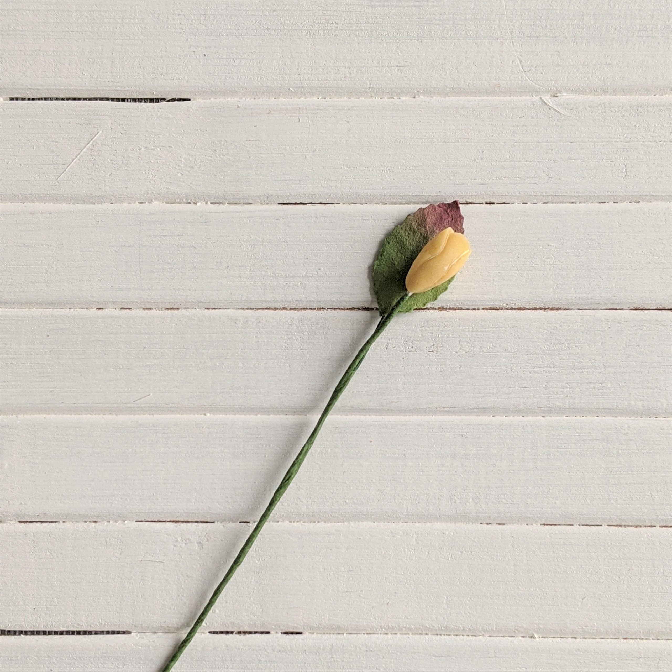 Bloem geel tulp met blaadje