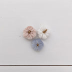 Set pompoenen (meerdere kleuren) (kopie)