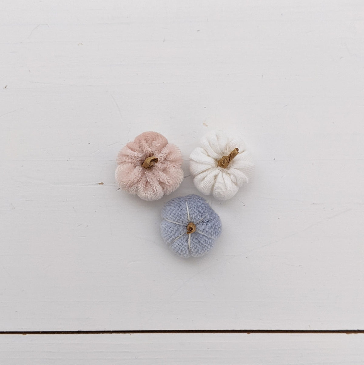 Set pompoenen (meerdere kleuren) (kopie)