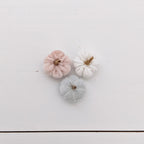 Set pompoenen (meerdere kleuren) (kopie)