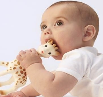 sophie de giraf met baby