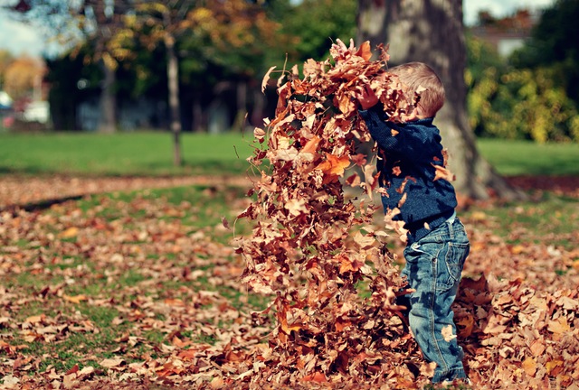 jongen-met-herfstbladeren